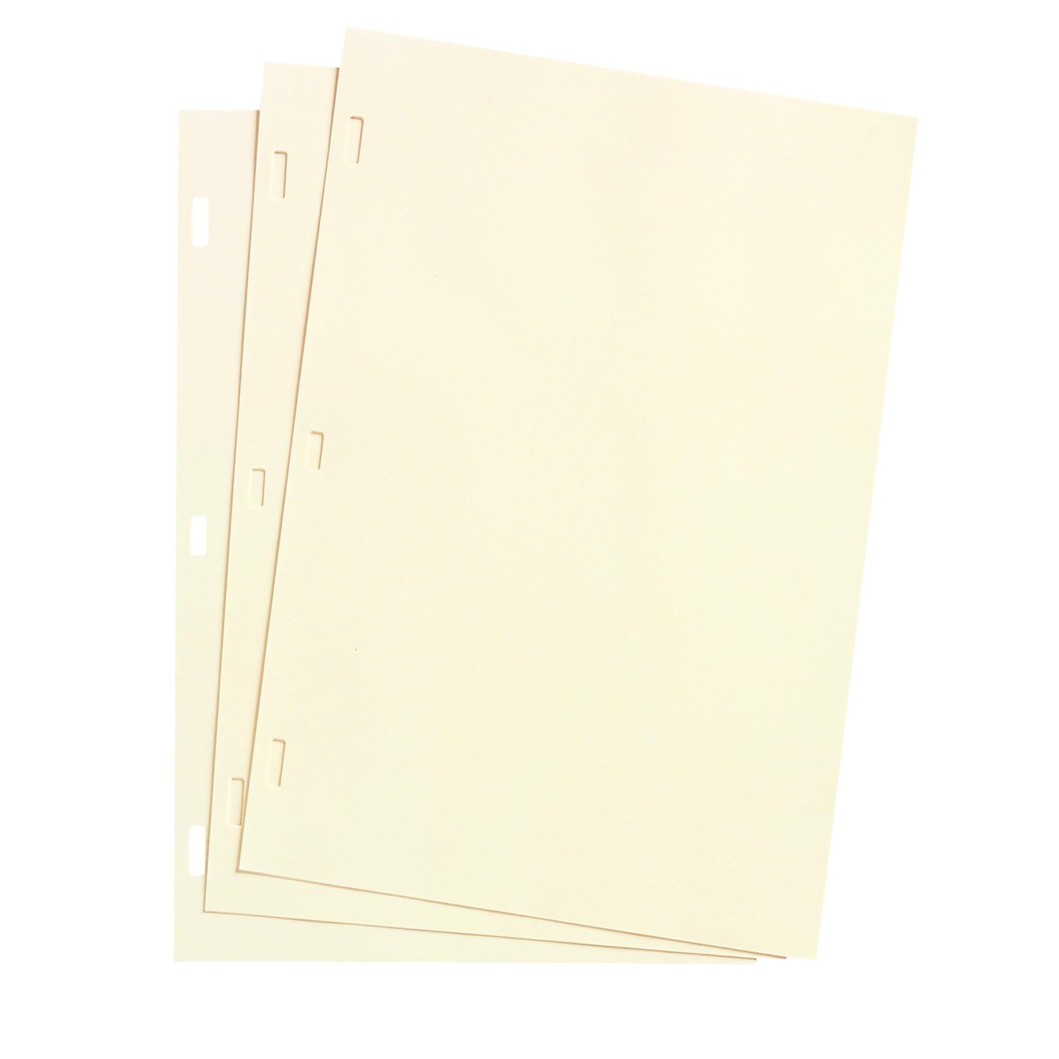 Wilson Jones Looseleaf Minute Book Ledger Sheets, Ivory, 11' x 8-1/2, 100 sheets/box (901-10)